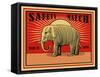 MRoagn Elephant Matches-Mark Rogan-Framed Stretched Canvas