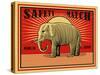 MRoagn Elephant Matches-Mark Rogan-Stretched Canvas