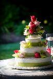 Wedding Cake-mrorange002-Photographic Print
