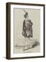 Mrs Alfred Shaw-null-Framed Giclee Print