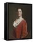 Mrs. Benjamin Lynde, Jr., C.1748-Robert Feke-Framed Stretched Canvas