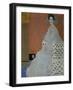 Mrs. Fritza Riedler (1906)-Gustav Klimt-Framed Giclee Print