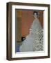 Mrs. Fritza Riedler (1906)-Gustav Klimt-Framed Giclee Print