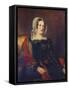 Mrs Hannah Hodgson-null-Framed Stretched Canvas