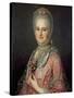Mrs Jane Huddleston (D.1772)-Jean-Marc Nattier-Stretched Canvas