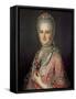 Mrs Jane Huddleston (D.1772)-Jean-Marc Nattier-Framed Stretched Canvas