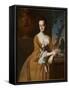 Mrs John Murray (Lucretia Chandler) (1730-68), 1763 (Oil on Canvas)-John Singleton Copley-Framed Stretched Canvas