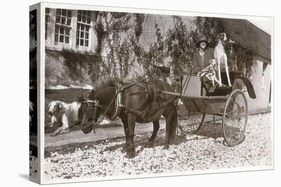 Mrs K Mcneil of Glasgow with Three Borzois-null-Stretched Canvas