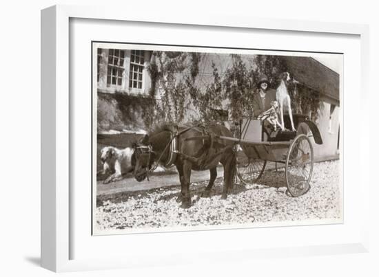 Mrs K Mcneil of Glasgow with Three Borzois-null-Framed Photographic Print