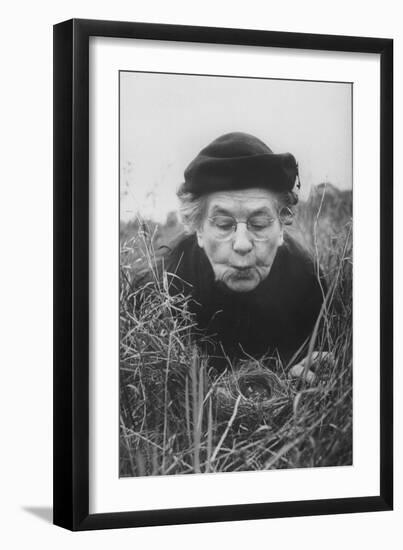 Mrs. Margaret Morse Nice Lying Flat in Grass to Study Nest of Baby Field Sparrows-Al Fenn-Framed Photographic Print