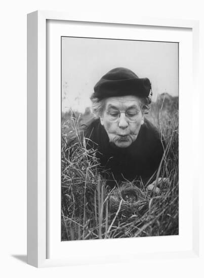 Mrs. Margaret Morse Nice Lying Flat in Grass to Study Nest of Baby Field Sparrows-Al Fenn-Framed Photographic Print