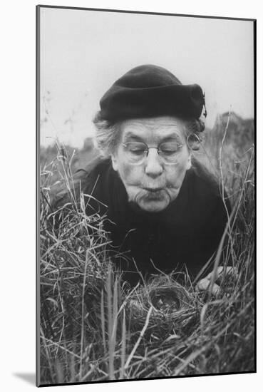 Mrs. Margaret Morse Nice Lying Flat in Grass to Study Nest of Baby Field Sparrows-Al Fenn-Mounted Photographic Print