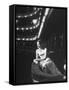 Mrs. Michael Phipps Sitting in Box of Empty Theatre Re Fall Fashions-Peter Stackpole-Framed Stretched Canvas