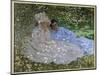 Mrs. Monet and a Friend in the Garden. Two Women Sitting in the Shade of a Tree. Painting by Claude-Claude Monet-Mounted Giclee Print