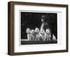 Mrs Pacey, Breeder and Judge, with Five of Her 'Wolvey' West Highland White Terriers-null-Framed Photographic Print
