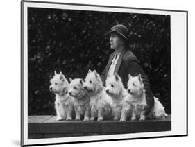 Mrs Pacey, Breeder and Judge, with Five of Her 'Wolvey' West Highland White Terriers-null-Mounted Photographic Print