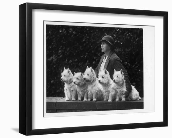 Mrs Pacey, Breeder and Judge, with Five of Her 'Wolvey' West Highland White Terriers-null-Framed Premium Photographic Print
