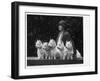 Mrs Pacey, Breeder and Judge, with Five of Her 'Wolvey' West Highland White Terriers-null-Framed Premium Photographic Print