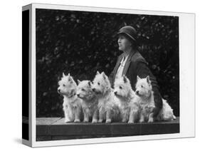 Mrs Pacey, Breeder and Judge, with Five of Her 'Wolvey' West Highland White Terriers-null-Stretched Canvas