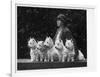 Mrs Pacey, Breeder and Judge, with Five of Her 'Wolvey' West Highland White Terriers-null-Framed Photographic Print