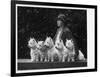 Mrs Pacey, Breeder and Judge, with Five of Her 'Wolvey' West Highland White Terriers-null-Framed Photographic Print