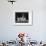 Mrs Pacey, Breeder and Judge, with Five of Her 'Wolvey' West Highland White Terriers-null-Framed Photographic Print displayed on a wall