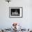 Mrs Pacey, Breeder and Judge, with Five of Her 'Wolvey' West Highland White Terriers-null-Framed Photographic Print displayed on a wall