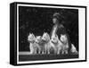 Mrs Pacey, Breeder and Judge, with Five of Her 'Wolvey' West Highland White Terriers-null-Framed Stretched Canvas