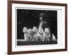 Mrs Pacey, Breeder and Judge, with Five of Her 'Wolvey' West Highland White Terriers-null-Framed Photographic Print