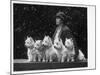 Mrs Pacey, Breeder and Judge, with Five of Her 'Wolvey' West Highland White Terriers-null-Mounted Photographic Print