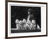 Mrs Pacey, Breeder and Judge, with Five of Her 'Wolvey' West Highland White Terriers-null-Framed Photographic Print