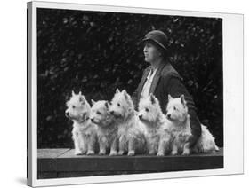 Mrs Pacey, Breeder and Judge, with Five of Her 'Wolvey' West Highland White Terriers-null-Stretched Canvas