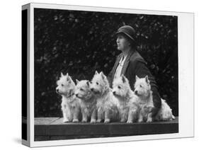 Mrs Pacey, Breeder and Judge, with Five of Her 'Wolvey' West Highland White Terriers-null-Stretched Canvas