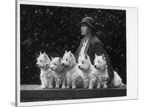 Mrs Pacey, Breeder and Judge, with Five of Her 'Wolvey' West Highland White Terriers-null-Stretched Canvas