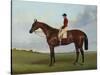 Mrs S. Wrather's 'Nutwith', with J. Marson Up, 1843-Harry Hall-Stretched Canvas