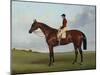 Mrs S. Wrather's 'Nutwith', with J. Marson Up, 1843-Harry Hall-Mounted Giclee Print