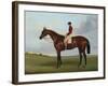 Mrs S. Wrather's 'Nutwith', with J. Marson Up, 1843-Harry Hall-Framed Giclee Print