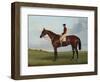 Mrs S. Wrather's 'Nutwith', with J. Marson Up, 1843-Harry Hall-Framed Premium Giclee Print