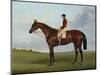 Mrs S. Wrather's 'Nutwith', with J. Marson Up, 1843-Harry Hall-Mounted Premium Giclee Print