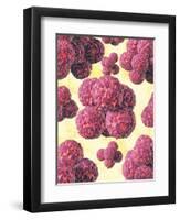 MRSA Bacteria, Artwork-David Mack-Framed Premium Photographic Print