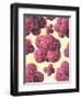 MRSA Bacteria, Artwork-David Mack-Framed Premium Photographic Print