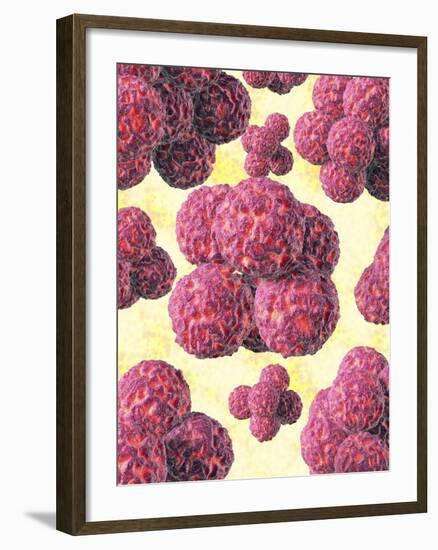 MRSA Bacteria, Artwork-David Mack-Framed Photographic Print