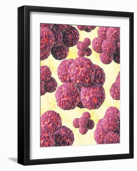 MRSA Bacteria, Artwork-David Mack-Framed Photographic Print