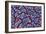 MRSA Bacteria, SEM-CDC-Framed Photographic Print