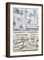 Ms 131K Different Species of Tree and Sawing Logs, from 'Traite De Fortifications'-Claude Masse-Framed Giclee Print