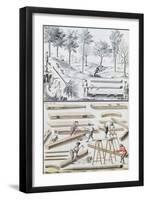 Ms 131K Different Species of Tree and Sawing Logs, from 'Traite De Fortifications'-Claude Masse-Framed Giclee Print