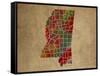 MS Colorful Counties-Red Atlas Designs-Framed Stretched Canvas