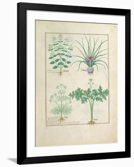 Ms Fr. Fv VI #1 Fol.121R Calamint-Robinet Testard-Framed Giclee Print