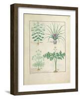 Ms Fr. Fv VI #1 Fol.121R Calamint-Robinet Testard-Framed Giclee Print