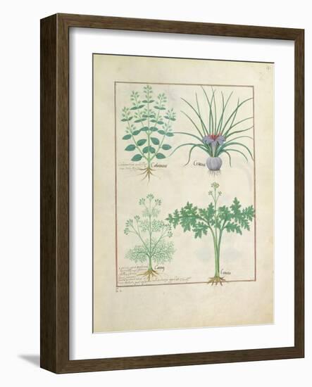 Ms Fr. Fv VI #1 Fol.121R Calamint-Robinet Testard-Framed Giclee Print